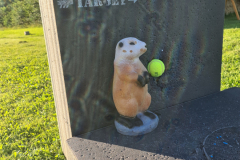 20210729_191809